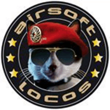 a cat wearing a red beret and sunglasses is in a circle with stars .