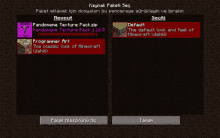 a screenshot of a minecraft game showing two options