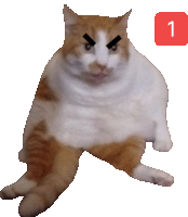 an orange and white cat with a red square with the number 1