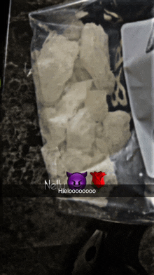 a bag of rocks with a picture of a devil and a rose with nellie written on it