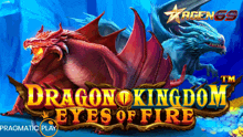 a game called dragon kingdom eyes of fire is being played