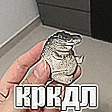 a person holding a small crocodile with the word krokan written on the bottom