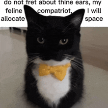 a black and white cat wearing a yellow bow tie .