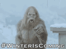 a bigfoot with a beard and long hair is standing in the snow holding a bird .