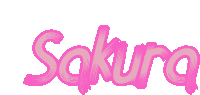 the word sakura is written in pink letters on a white background