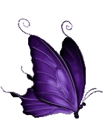 a purple butterfly with swirls on its wings