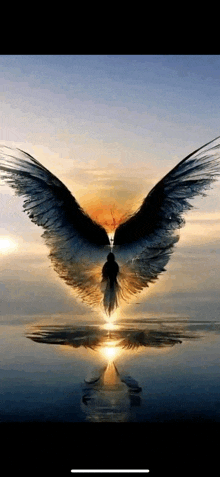 a person with angel wings is standing in the water with a sunset in the background .