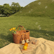 a picnic blanket with a wicker basket and two bottles of corona