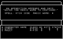 a black and white image of a computer screen with a character name , class , ac hits status , and magic word .