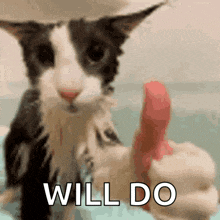 a black and white cat is giving a thumbs up with the words will do behind it