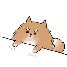 a cartoon drawing of a pomeranian dog hanging over a white wall