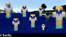 a group of minecraft characters are standing in the water with the name charlie on the bottom