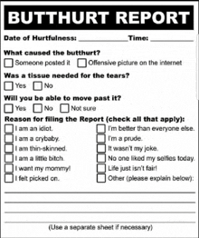 a butthurt report form is being filled out