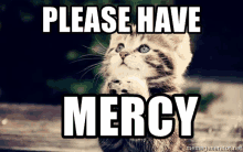 a picture of a kitten with the words please have mercy above it