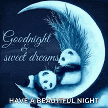 two panda bears are sleeping on a crescent moon with the words `` goodnight sweet dreams '' written above them .