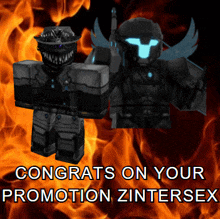 a poster that says congrats on your promotion zintrex