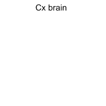 a white background with the words cx brain on it