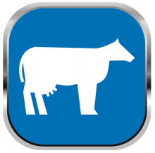 a blue button with a white cow icon on it