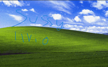 the word sussy is written in blue on a green hill