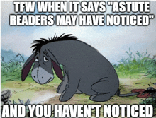 eeyore from winnie the pooh sits in a field with a caption that says tfw when it says astute