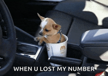 a small dog is sitting in a mcdonald 's cup with the caption " when u lost my number "