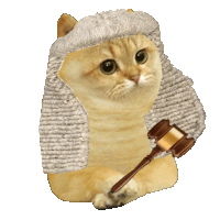 a cat wearing a judge 's wig holds a gavel