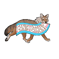 a drawing of a coyote carrying a banner that says " canis latrans "