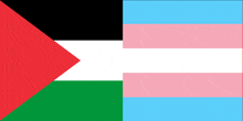 a flag of palestine and a transgender flag are side by side