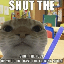 a cat is holding a talking stick and says shut the fuck up you don t have the talking stick