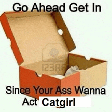 a cardboard box with the words " go ahead get in since your ass wanna act catgirl " on it