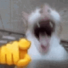 a white cat with its mouth open is holding a yellow fist in front of it .