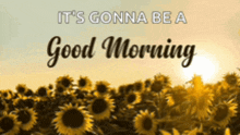 a picture of sunflowers with the words it 's gonna be a good morning