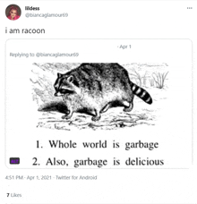 a drawing of a raccoon with a caption that says " whole world is garbage also garbage is delicious "