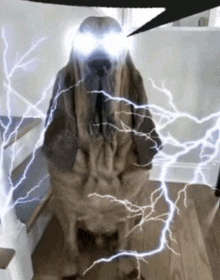 a dog is surrounded by lightning bolts while standing on a staircase