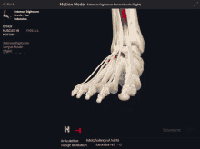 a computer screen shows a skeleton of a foot and says " motion mode " at the top