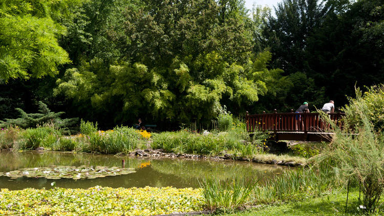 Go green at the Botanical Gardens