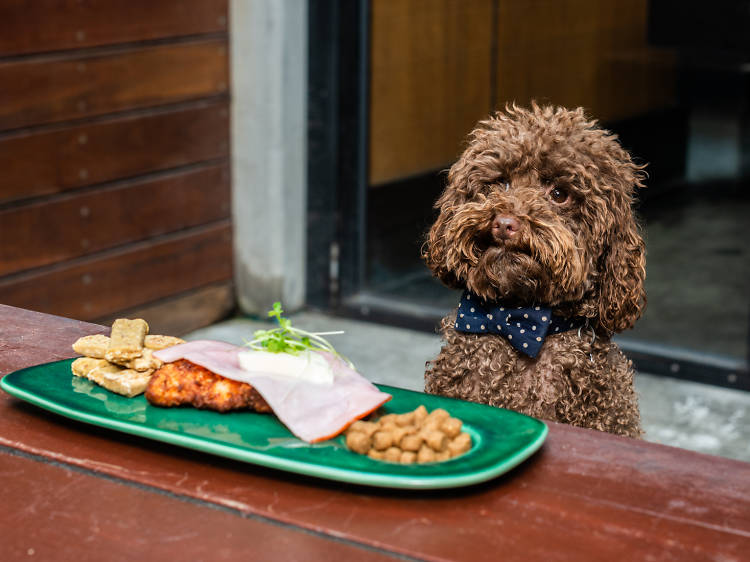 The 22 best dog-friendly pubs in Melbourne