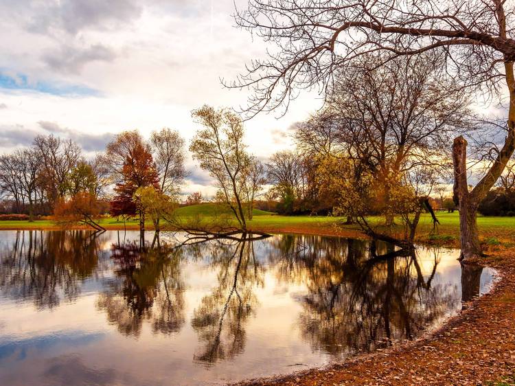 Des Plaines River Trail