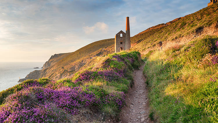 The essential guide to Cornwall