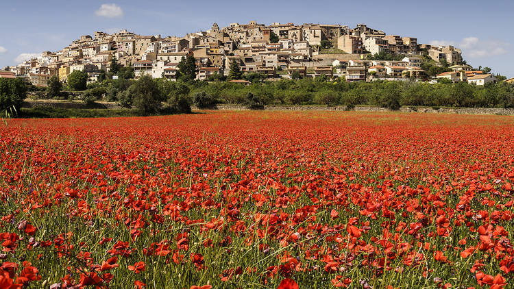 Horta de Sant Joan