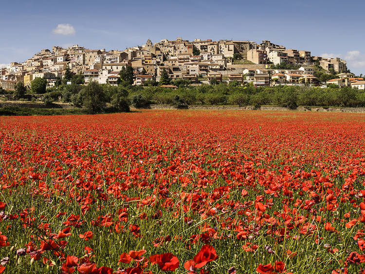 Los pueblos más bonitos de Tarragona