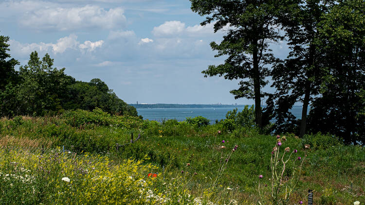 Fort Sheridan