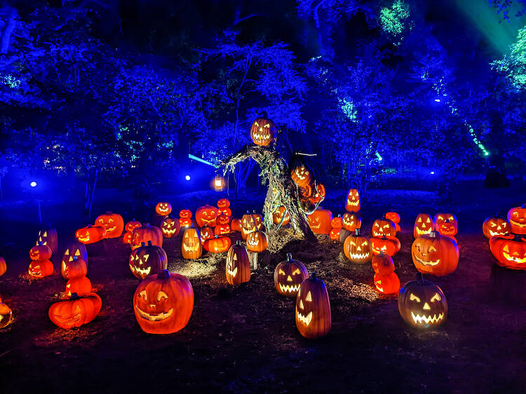 Halloween events in L.A. for spooky fun