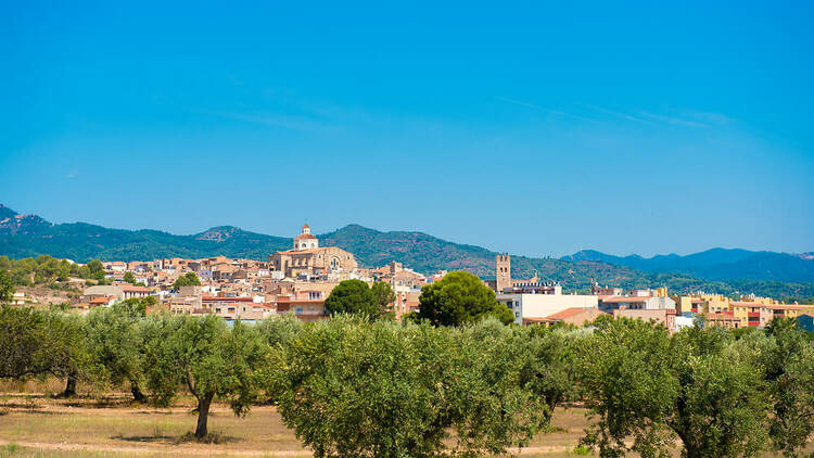 Mont-roig del Camp