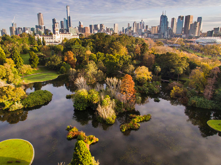 You beauty! Three Australian botanic gardens have been named among the best in the world to visit