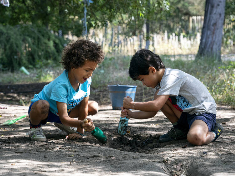 Vamos planear as férias? Programas para este Verão