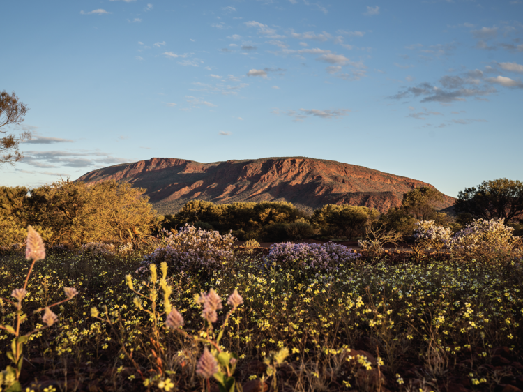 The world’s largest rock is right here in Australia – but it’s not Uluru