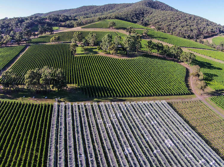 This Yarra Valley winery was just crowned Australia's best at the 2025 Halliday Wine Companion Awards