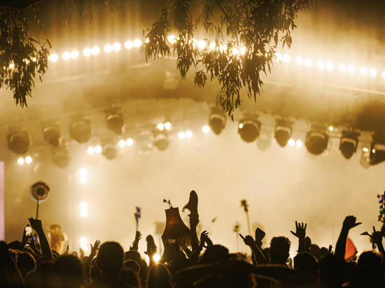 Meredith Music Festival