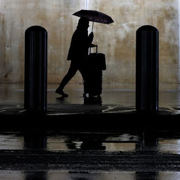 大量の雨水を“資源”に変える、都市緑化による「スポンジシティ」の潜在力